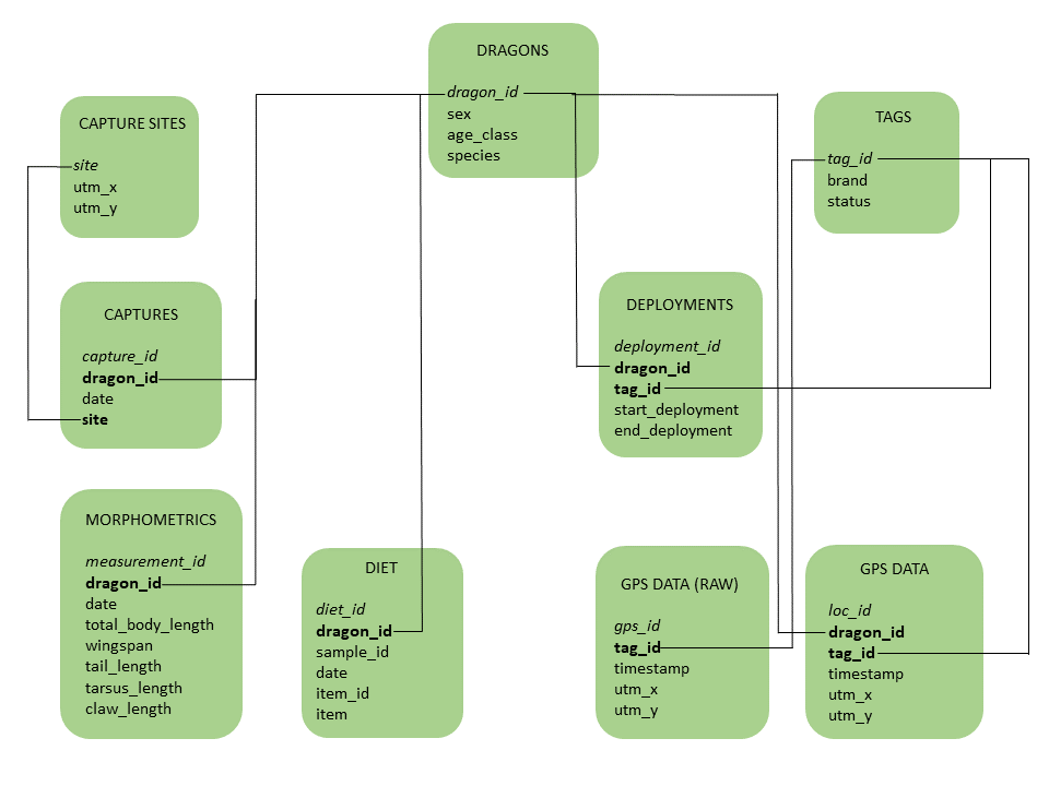 Diagram of the dragons database